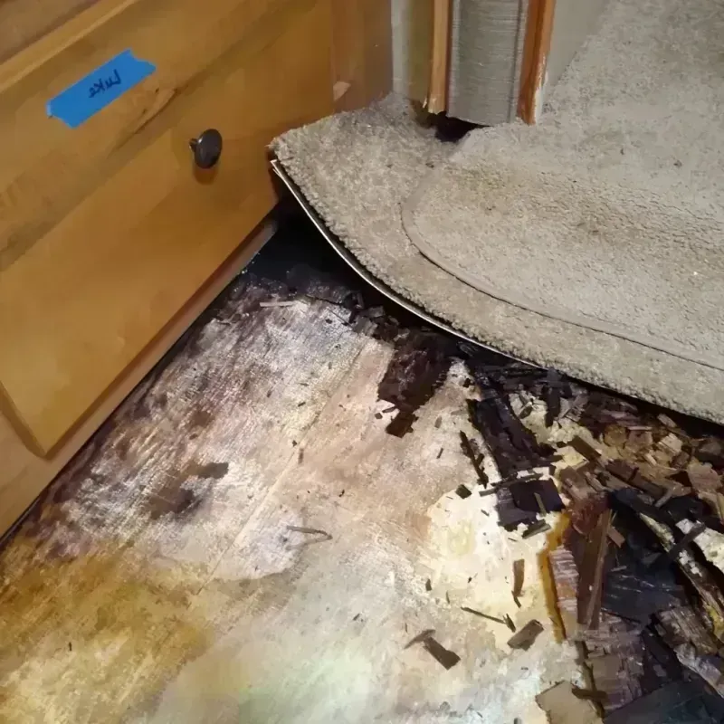 Best Wood Floor Water Damage Service in Bladen County, NC